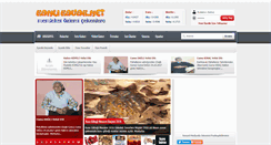 Desktop Screenshot of kanlikavak.net